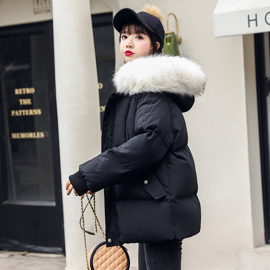 Elegant Winter Jacket with fur