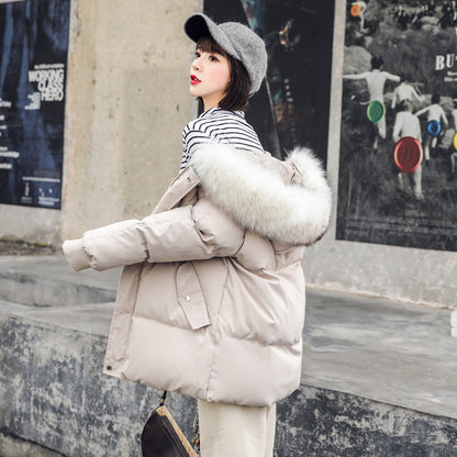 Elegant Winter Jacket with fur