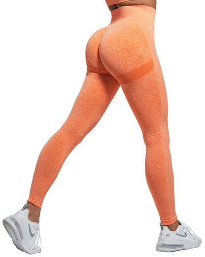 Womens fitness tights